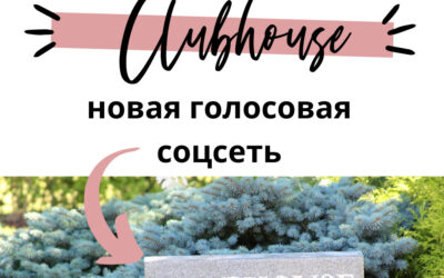 Что такое Clubhouse, новая голосовая соцсеть